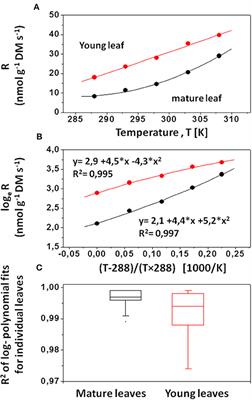 Plasticity of Leaf Respiratory and Photosynthetic Traits in Eucalyptus grandis and E. regnans Grown Under Variable Light and Nitrogen Availability